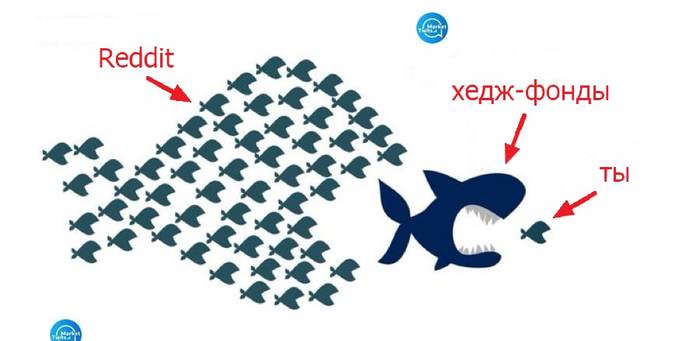 Рыба ест акулу. А сможет ли так Пикабу?