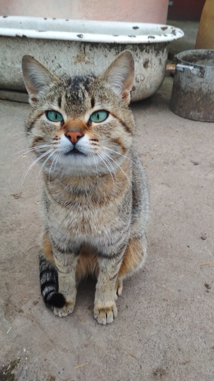 �������