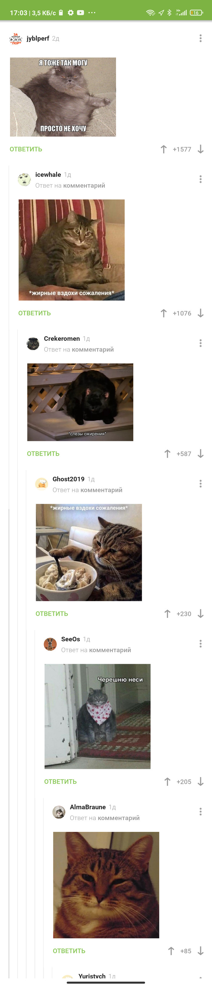 Жирненькие комменты)