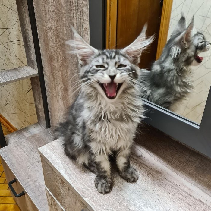 Пятничное настроение