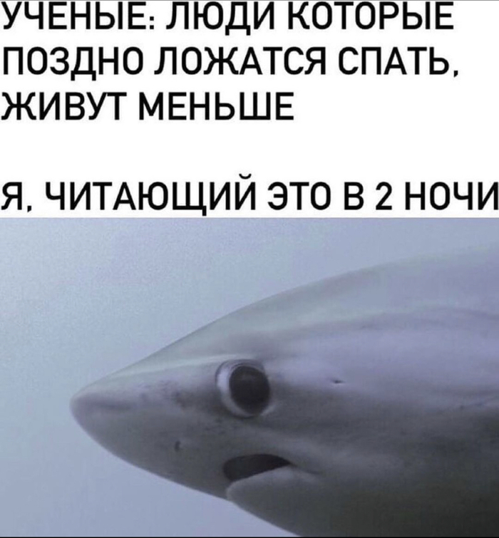 Не выключается телевизор во сне. 1611957192145397794. Не выключается телевизор во сне фото. Не выключается телевизор во сне-1611957192145397794. картинка Не выключается телевизор во сне. картинка 1611957192145397794. Ниже вы можете бесплатно узнать толкование символа «Телевизор» по 14 онлайн-сонникам. Если вы не обнаружили нужное толкование на этой странице, воспользуйтесь формой поиска по всем сонникам нашего сайта. Также вы можете заказать персональное толкование сна экспертом.