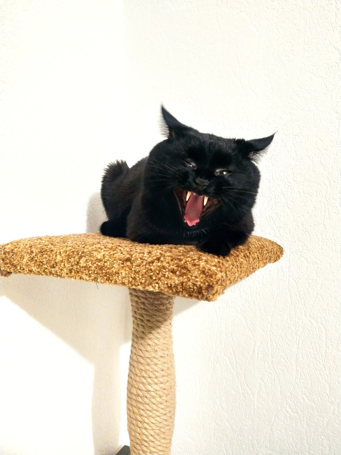 ���� ��������� �� �����