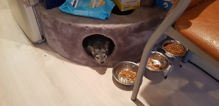 ��, ��������, ���