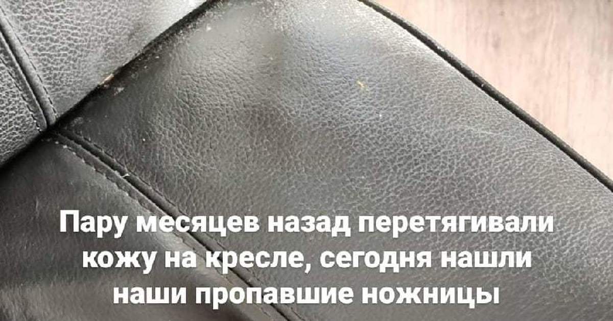 Стальные яйца | Пикабу