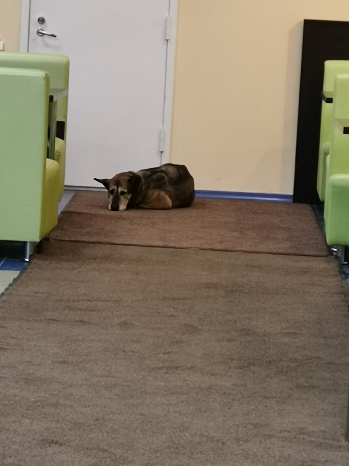 Тёплое добро