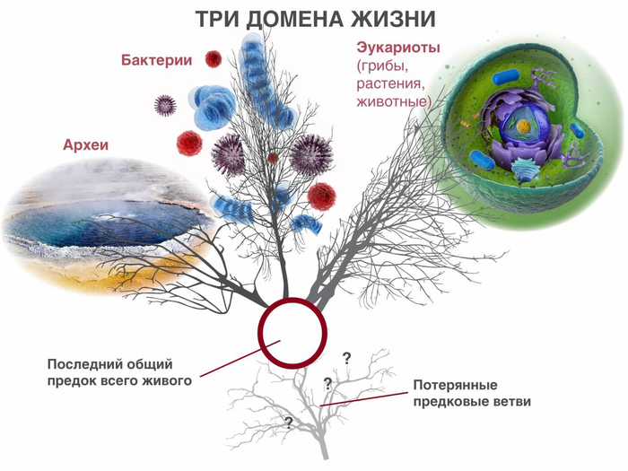 загадка что такое жизнь. Смотреть фото загадка что такое жизнь. Смотреть картинку загадка что такое жизнь. Картинка про загадка что такое жизнь. Фото загадка что такое жизнь