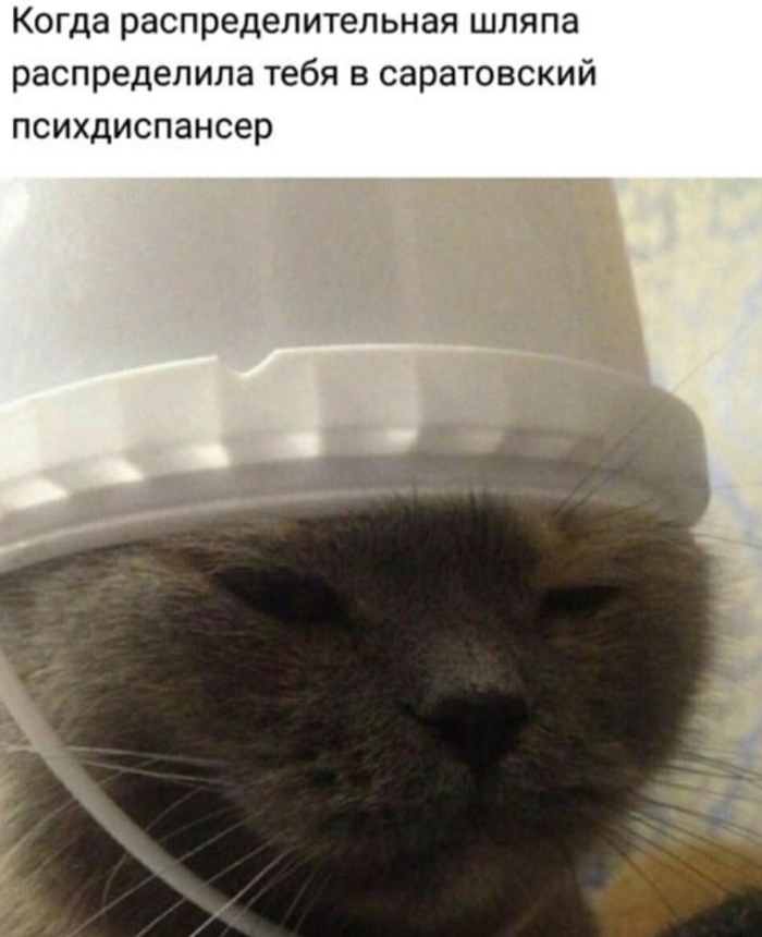   ,  , , ,   