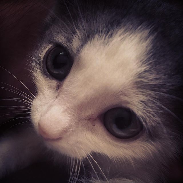 ������ �������