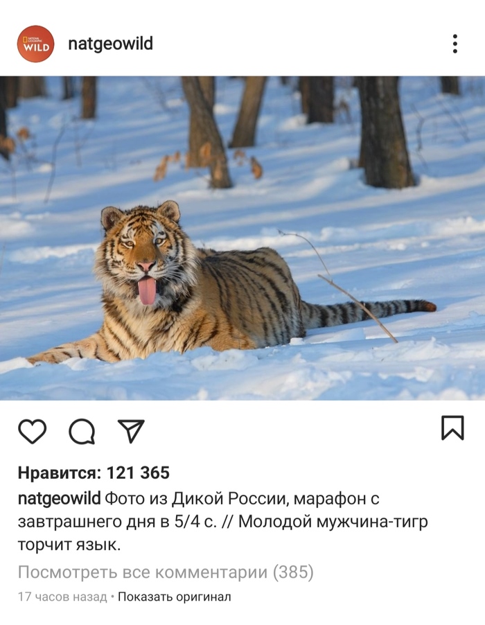 ������� �������-����