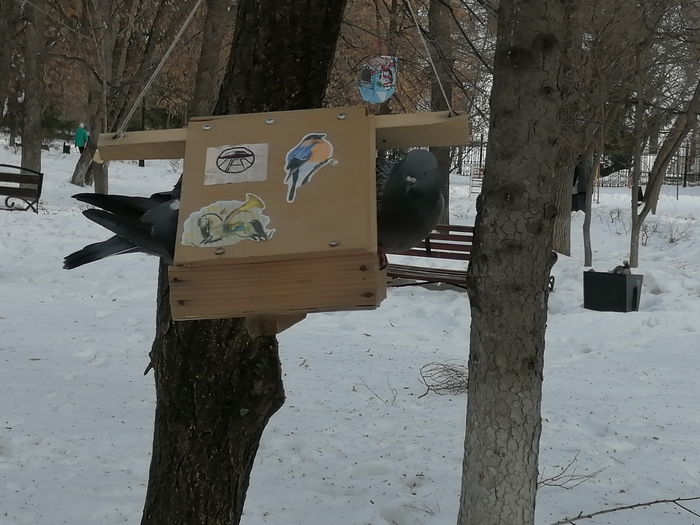 ������� ������