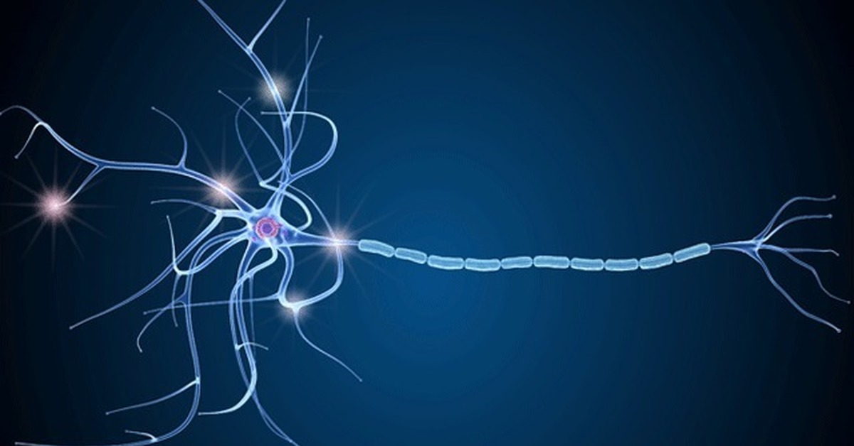 Импульс мозг аксон. Аксон нейрона микрофотография. Рассеянный склероз Нейроны. Нервная система человека аксоны Нейроны. Рассеянный склероз нервная клетка.