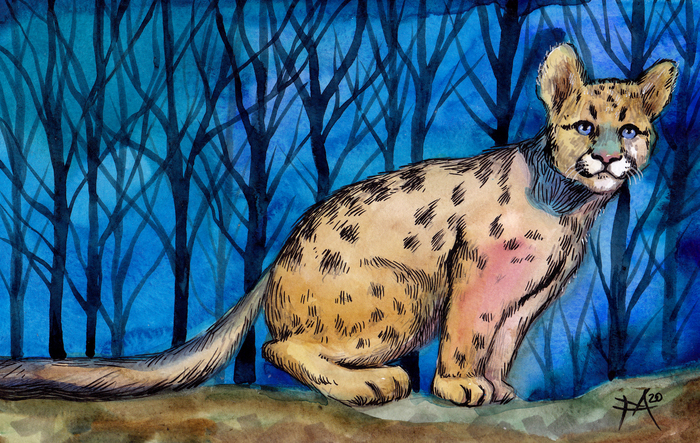 ����������� ����