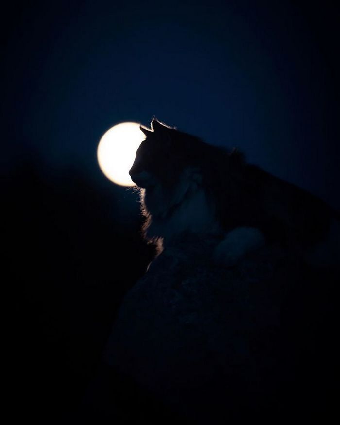 ������ ���...