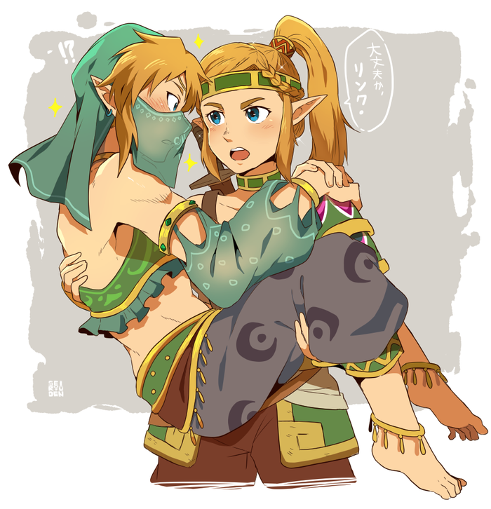   , ? The Legend of Zelda, Breath of the Wild, Princess Zelda, Gerudo Link, Link, , 
