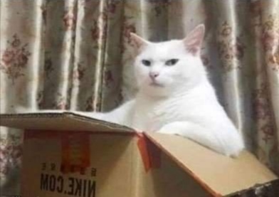 Ты: едешь за рулём своей легковушки