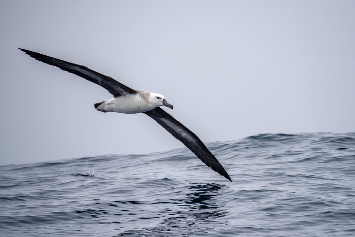     , , , , The National Geographic, ,  , , ,  , 