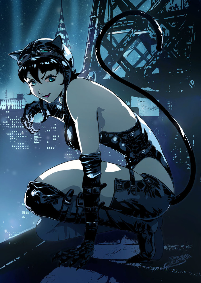 Catwoman Anime Art, DC Comics, -, 