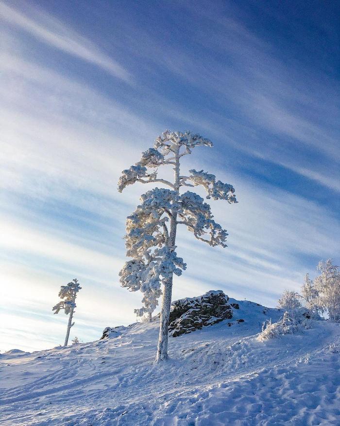 Морозное утро