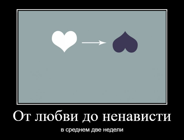 От любви до ненависти