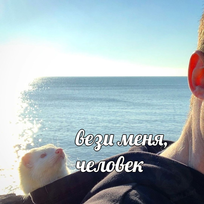 Все совпадения случайны