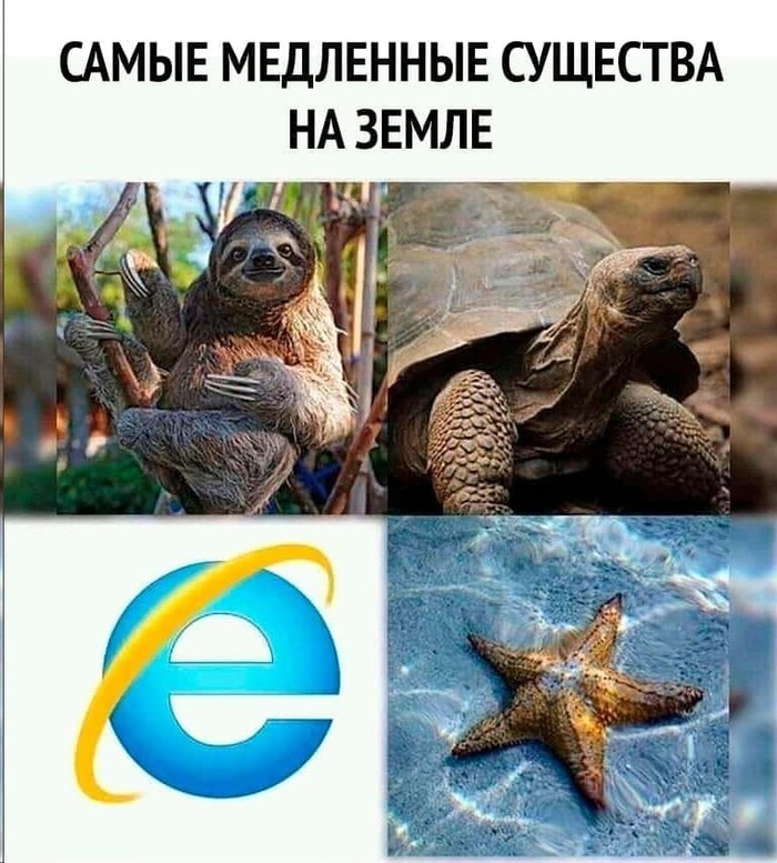      , , Internet Explorer, , ,  , 