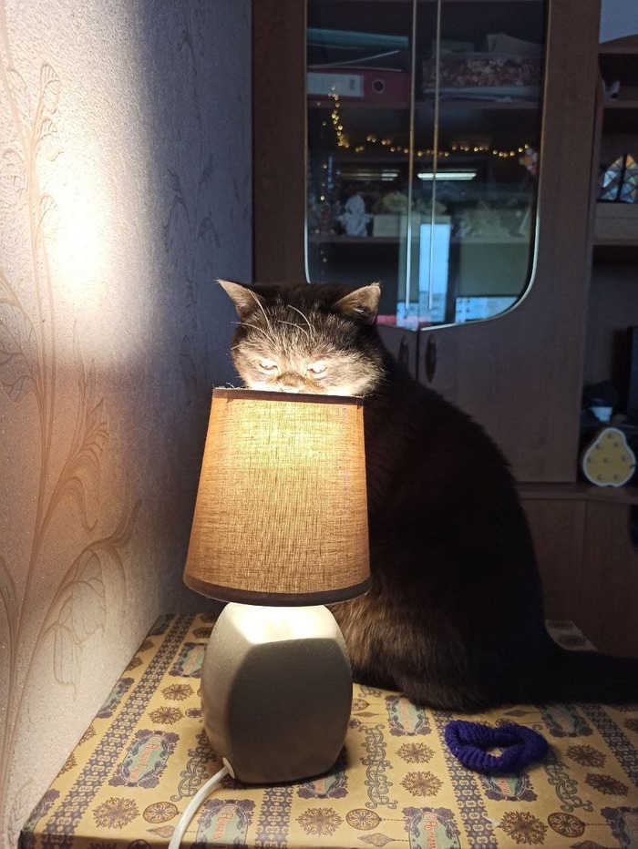 ����������� ����� ���� � �����