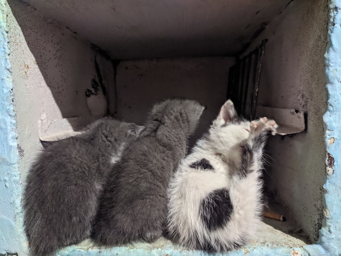 ��� ���� � ����