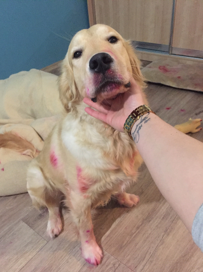 ����� �� ���� �� �� �����...�