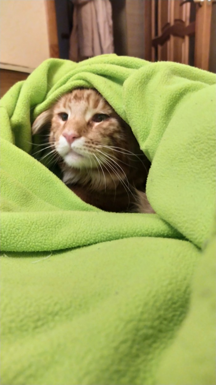 � ������� ���� �����, ���� � ���� ���� ������, ����!