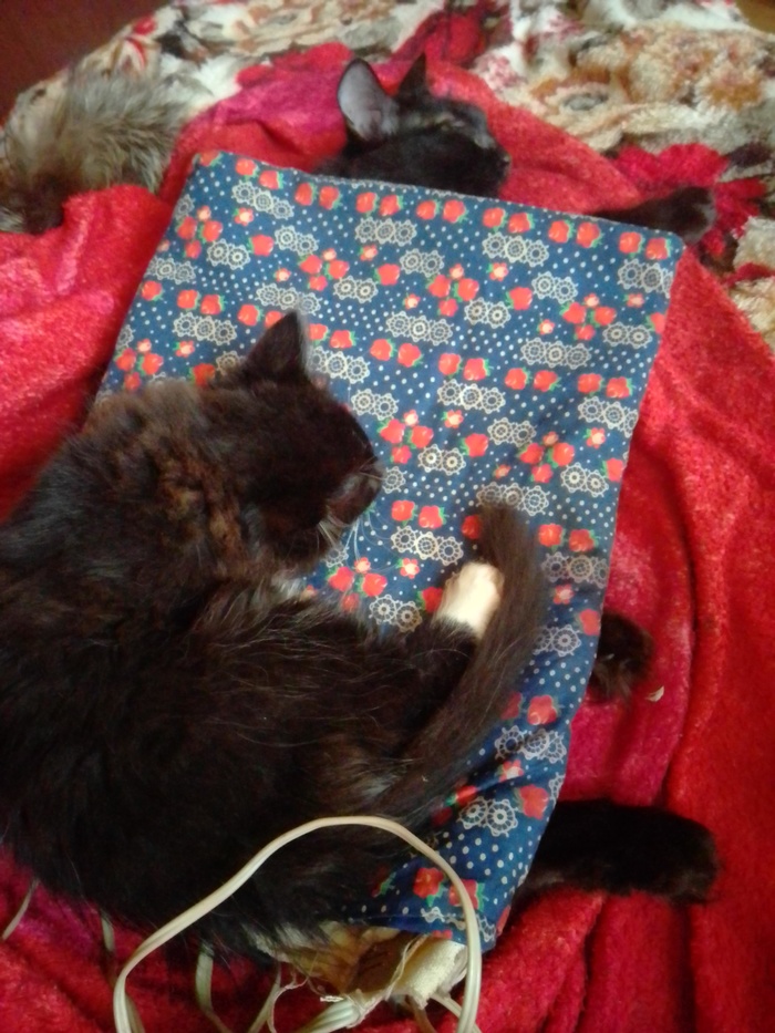 Зима холода