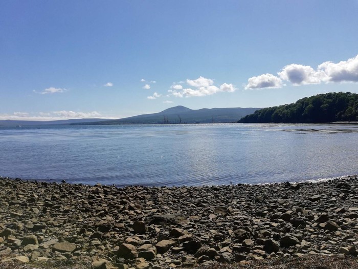 ��� �����