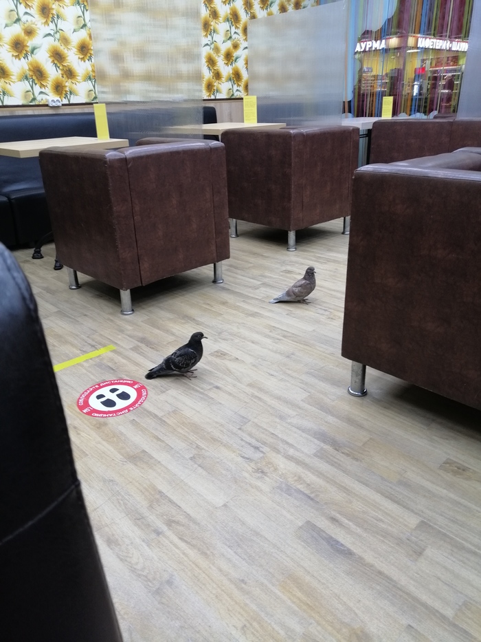 С чем же был тот пирожок?