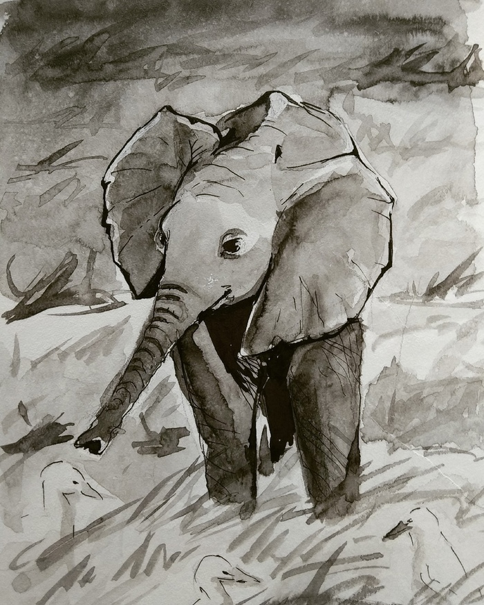 �����������)