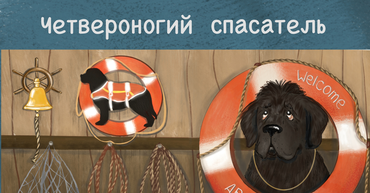 Собака- водолаз | Пикабу