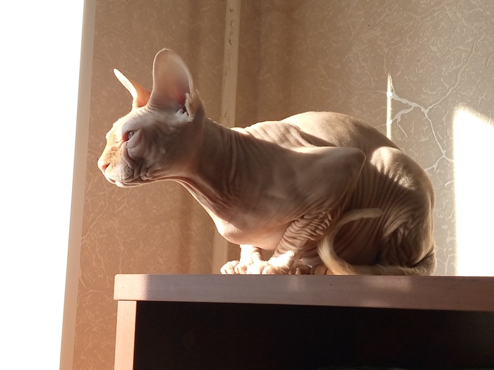 ��������� ���