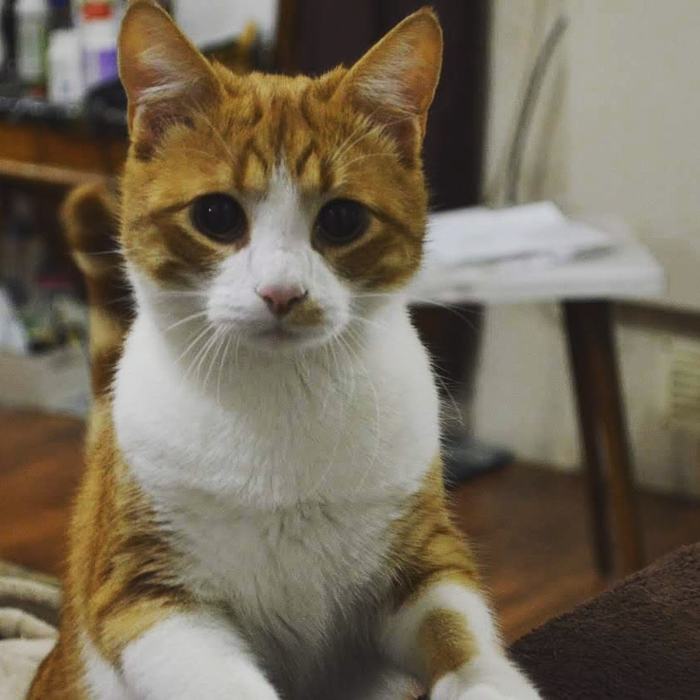 � ����� �� ���������