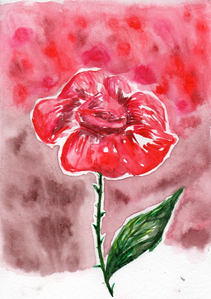 Красная роза | Пикабу