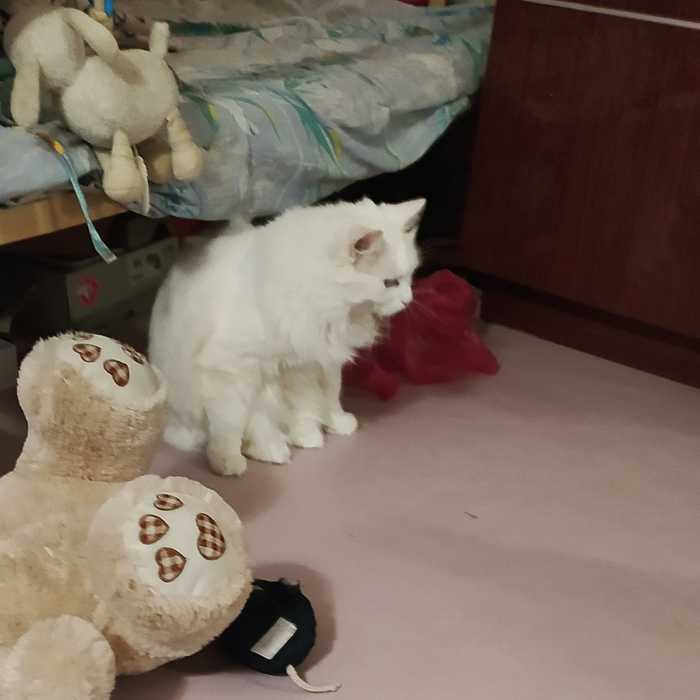  +  ,  , ,  , , , 