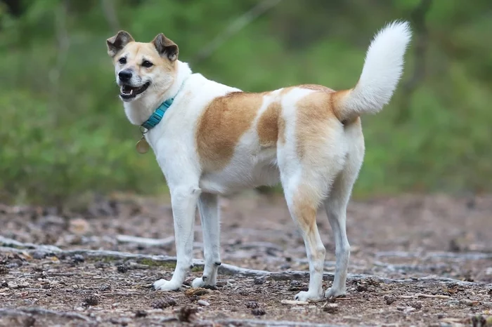 Неделя в китайской тюрьме - продолжение Китай, Тюрьма, Тюремные истории, Длиннопост, Мат Неделя в китайской тюрьме - продолжение Китай, Тюрьма, Тюремные истории, Длиннопост, Мат