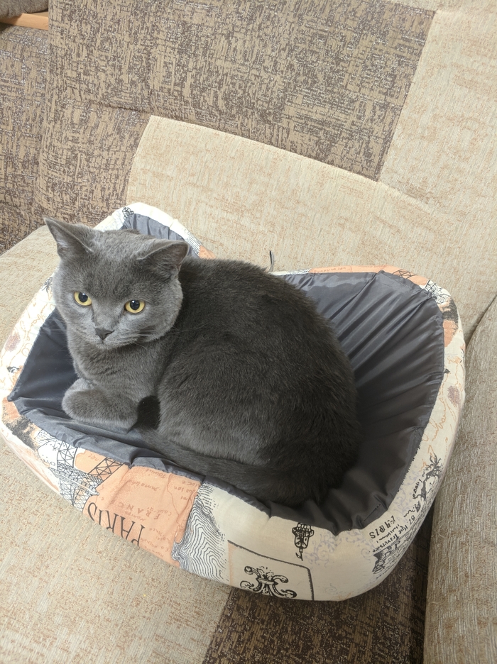 ����� �� ���� ����� ���� ����������