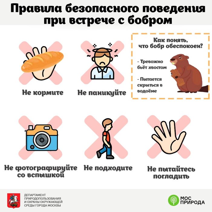 Как сделать журнал про пони. Смотреть фото Как сделать журнал про пони. Смотреть картинку Как сделать журнал про пони. Картинка про Как сделать журнал про пони. Фото Как сделать журнал про пони