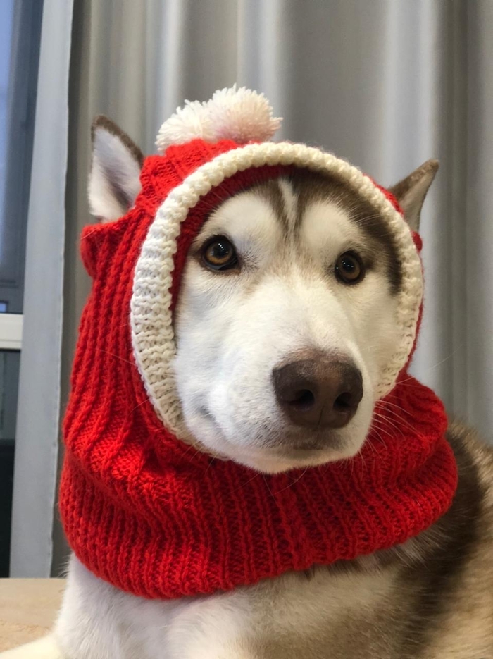 ����� ��� ����