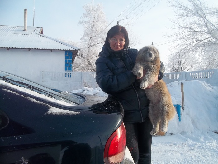 не сразу поняла почему не скидывалась на шашлыки. 1613153593195585466. не сразу поняла почему не скидывалась на шашлыки фото. не сразу поняла почему не скидывалась на шашлыки-1613153593195585466. картинка не сразу поняла почему не скидывалась на шашлыки. картинка 1613153593195585466. Поехав с незнакомыми людьми на шашлыки, Юля не сразу поняла, почему она не скидывалась.