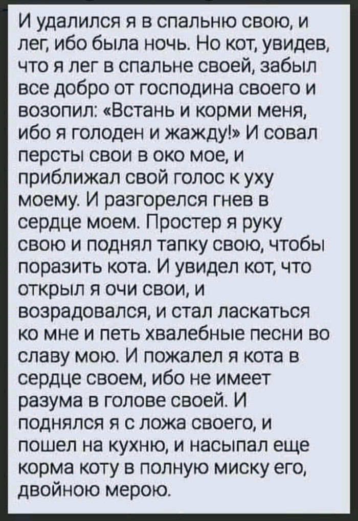 Как сделать золотистые макароны. Смотреть фото Как сделать золотистые макароны. Смотреть картинку Как сделать золотистые макароны. Картинка про Как сделать золотистые макароны. Фото Как сделать золотистые макароны