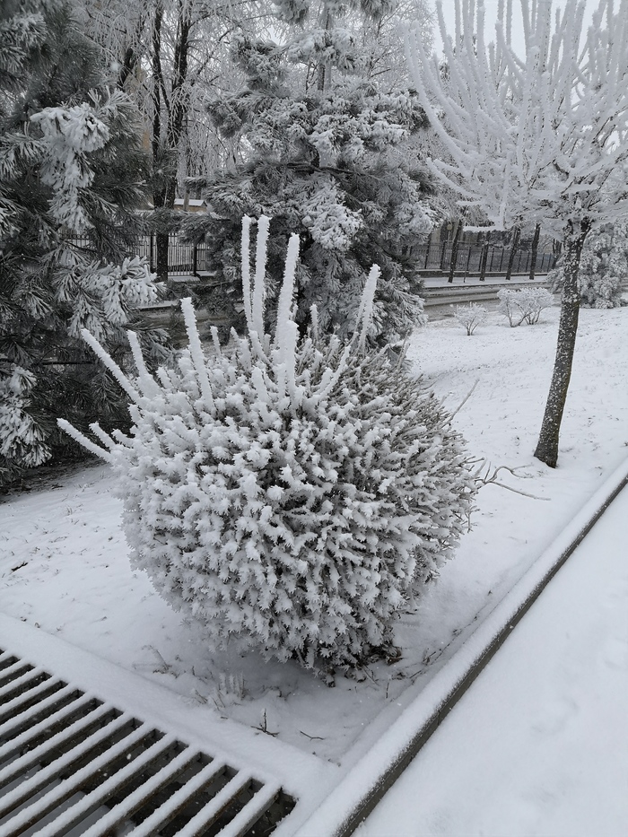 ������� � ����������