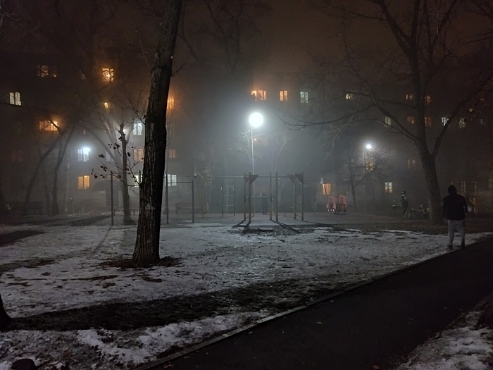 ���� ���������