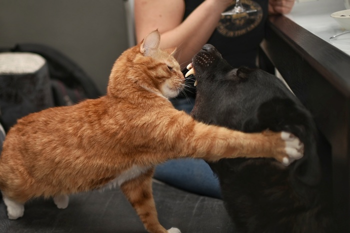 Не злись, братишка. Дай обниму