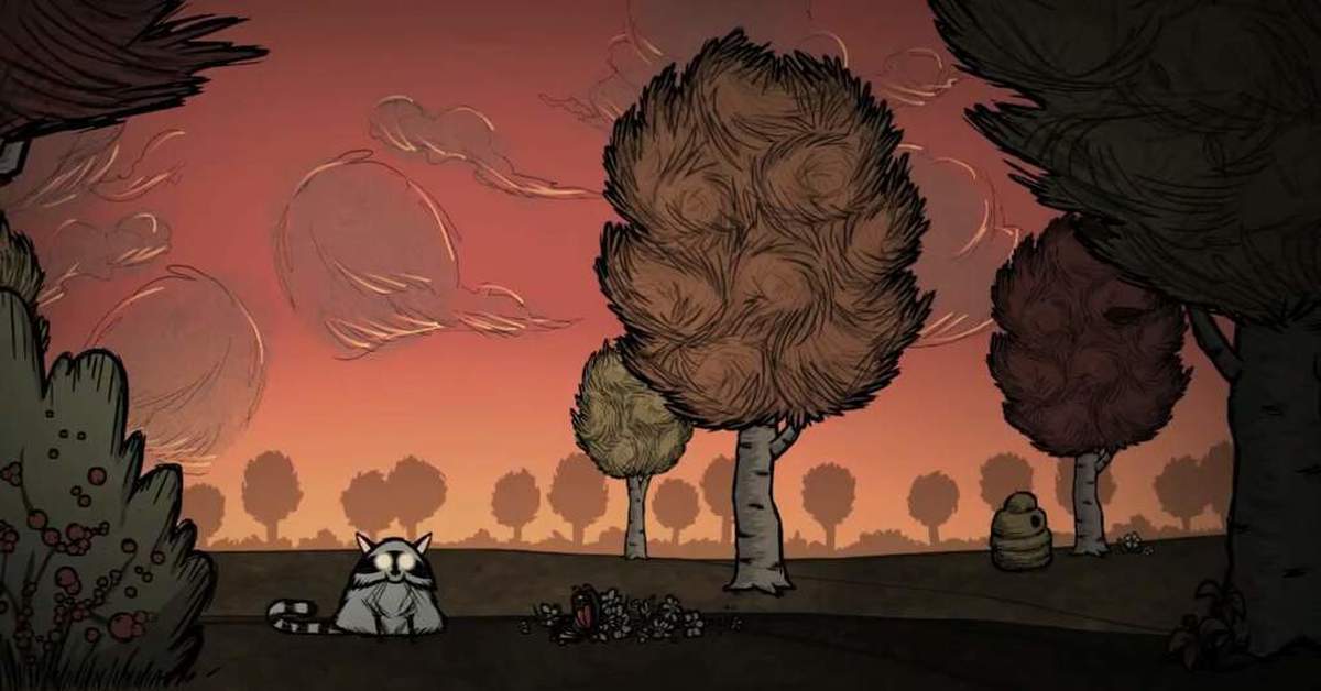 Донт би. Лесной биом донт старв. Донт старв лес. Don't Starve together лес. Don't Starve together ЕНОТОКОТ.