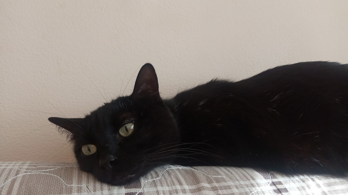 ������ ���� �������, � � ������