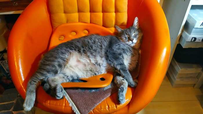 Наелся и спит